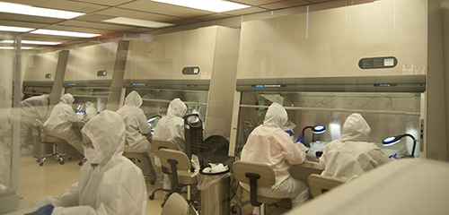 Workers in a clean room