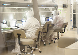 workers in a clean room